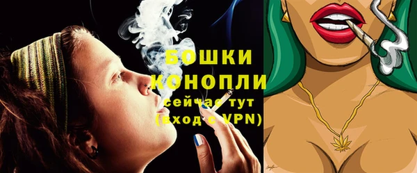 шишки Верхний Тагил