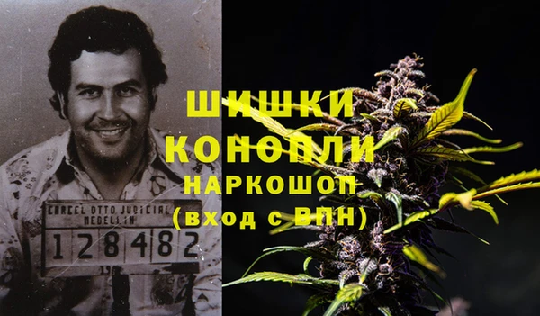 шишки Верхний Тагил
