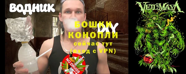 шишки Верхний Тагил