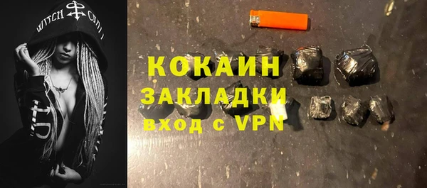 шишки Верхний Тагил
