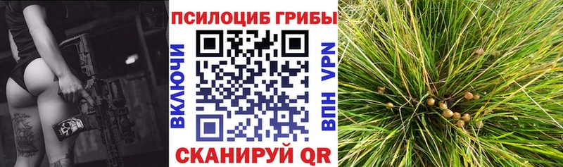 Галлюциногенные грибы Psilocybine cubensis Весьегонск
